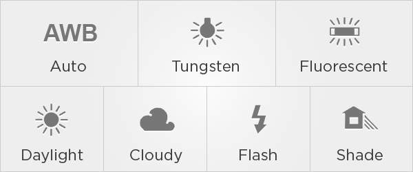 Các chế độ cân bằng trắng có sẵn - Nguồn: Exposure Guide
