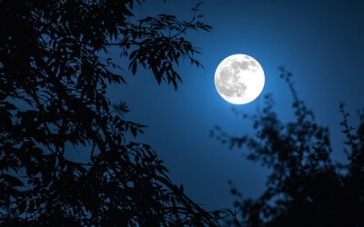 Cách chụp ảnh mặt trăng xanh, các hành tinh khổng lồ và dải ngân hà vào cuối tuần