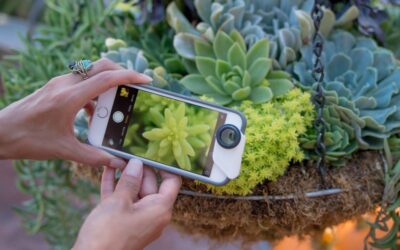 [REVIEW] Lens iPhone tốt nhất dành cho dân đam mê chụp ảnh