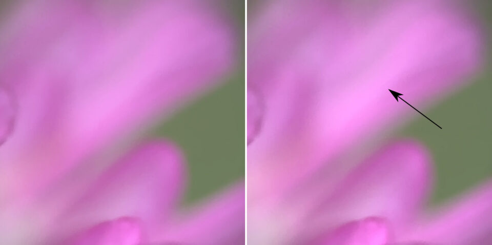 Trong hình ảnh thứ hai, mũi tên chỉ đến quá trình hậu hóa có thể xảy ra khi một màu bắt đầu bay ra. Ngay cả trong các hình ảnh nén cho web, quá trình xử lý hậu kỳ rất rõ ràng. 