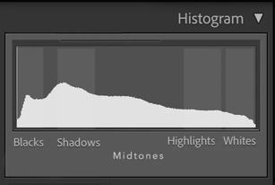 Histogram hiển thị số lượng giá trị tone màu trong hình ảnh của bạn. Tone màu tối hơn ở bên trái và tone màu sáng hơn ở bên phải