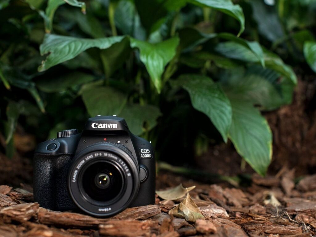 [Review] Canon EOS 4000D - Dòng máy DSLR giá rẻ này có gì đặc biệt?