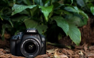 [Review] Canon EOS 4000D – Dòng máy DSLR giá rẻ này có gì đặc biệt?