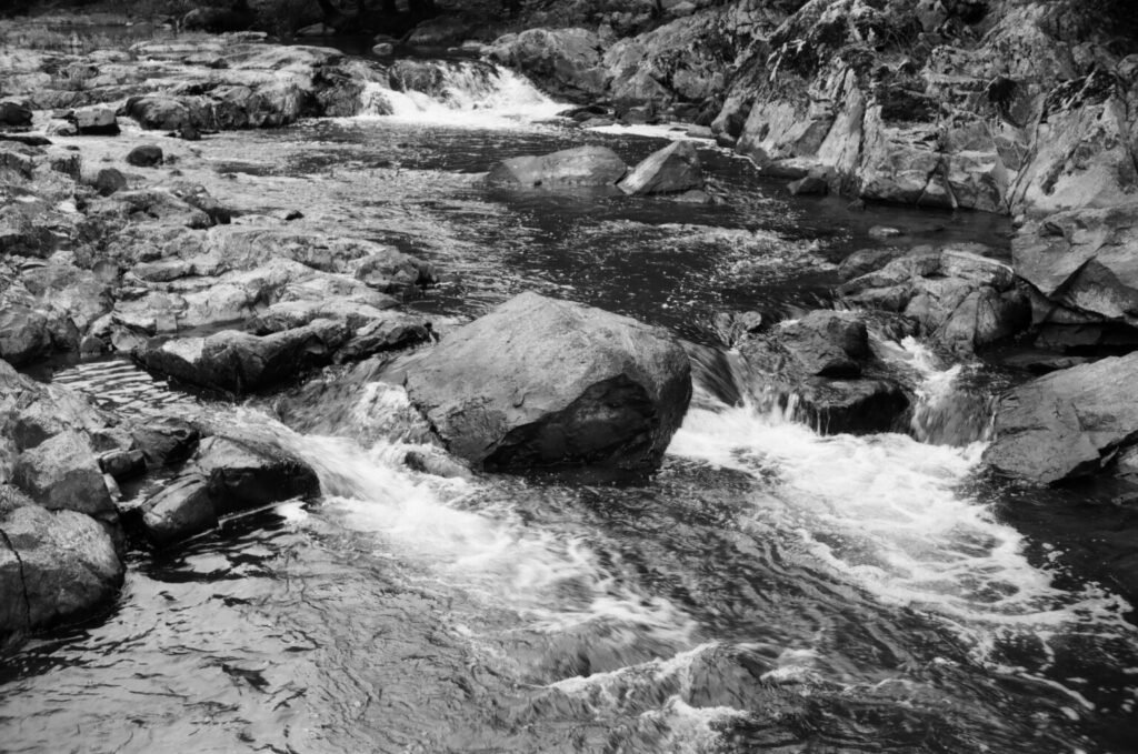 Ảnh chụp từ Kodak Signet 35 và film Ilford Delta 100